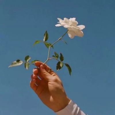 仲荔炎